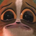 dinobartolomew