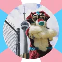 thefurrycanadian