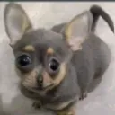 iakizoom2510_85352 avatar