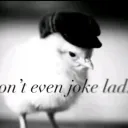 adributcool