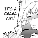itsacat