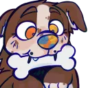 colliekisser