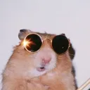 louiemlc