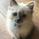 Erio's avatar