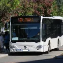 shrankenstein_1 avatar