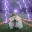 avatar ʂհօɾէìҟ