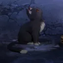 furrin