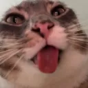 santiagooo0950 avatar