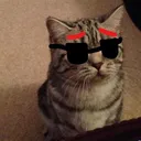 murphythelawyer