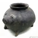 finbug