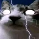 godarou_16788 avatar