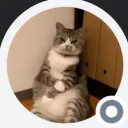 usuariodesconhecido0458 avatar