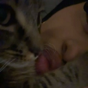 avatar 𝐍 𝐀 𝐘 𝐋 𝐀✦