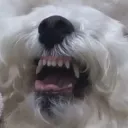.10__