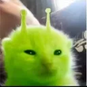 gojo075964999 avatar