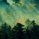 heimdelight