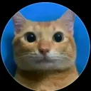 jefrycongatas97731 avatar