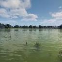 xdritesh_1_69415