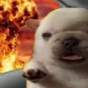 bon_0089