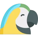 arara_