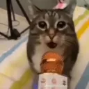 nicosel