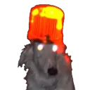 thegroovytin avatar