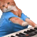 arozely