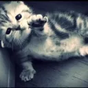 daniel_020633 avatar