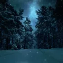 winter9330