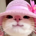 avatar 𝒩𝑒𝒽𝒶 ᯓᡣ𐭩