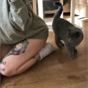 Salem