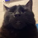 limosamate