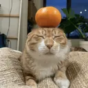 luzesc