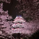 fekax.16_57616 avatar