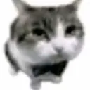 pollitoconpapas01281 avatar