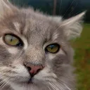 banjaelmaskapo avatar