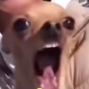 Gwapoko?!
