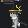 aaauom