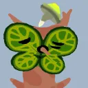 shopkorok