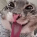 mataabuelitas0058_37001 avatar