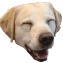 chris_lsdo