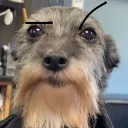 fabri_xd06502 avatar