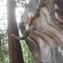 jujutheawesome