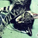 hjjhhhjjdjdjdjd avatar