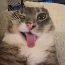 franco928374720 avatar