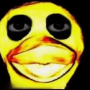 Քɨʍ