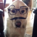 realkoosh2 member profile picture