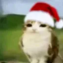 leoelmatabuela avatar