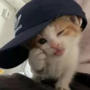 ،