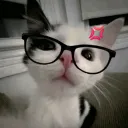 0xzdb